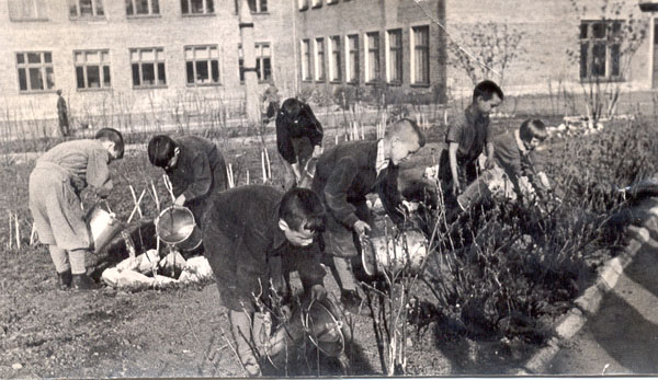более 60 лет назад посажен школьный сад!